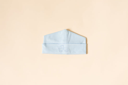 Pima Newborn Blue Beanie